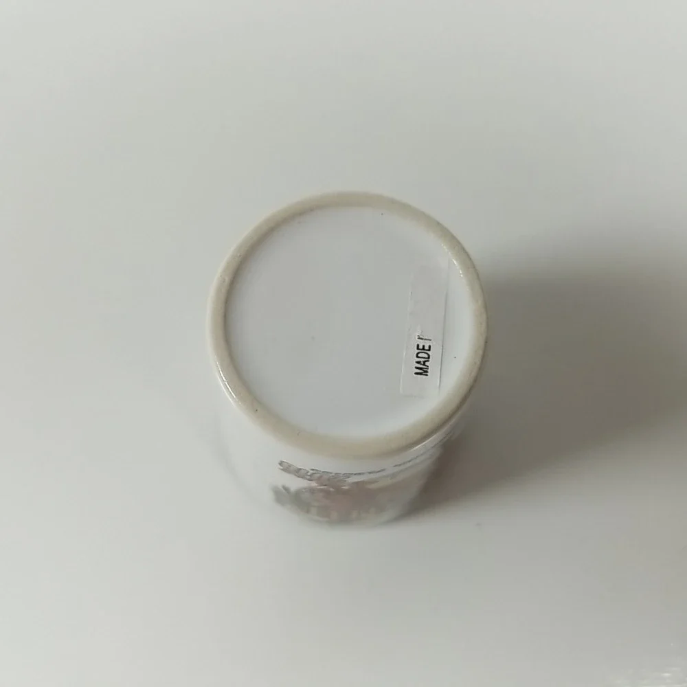 2018  Sun'n Fun Fly In Lakeland FL Shot Glasses
